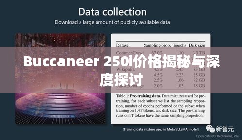 Buccaneer 250i价格揭秘与深度探讨