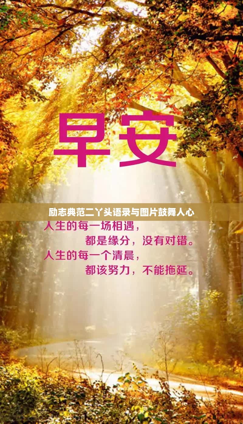 全神贯注 第3页