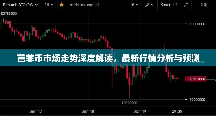 芭菲币市场走势深度解读，最新行情分析与预测