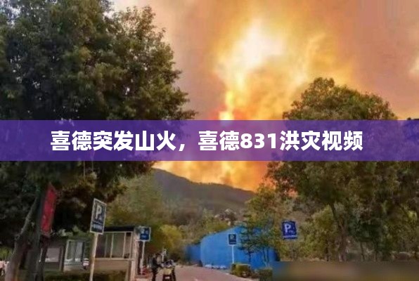 喜德突发山火,喜德831洪灾视频