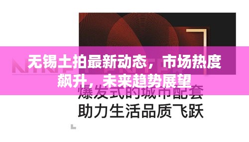 无锡土拍最新动态,市场热度飙升,未来趋势展望