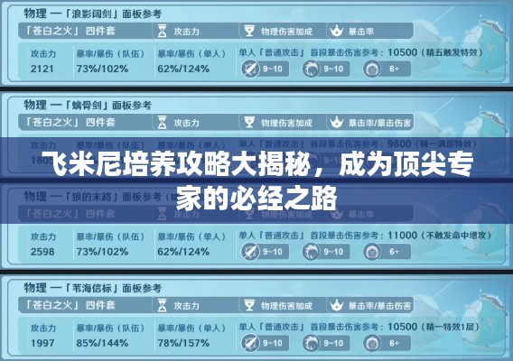 飞米尼培养攻略大揭秘,成为顶尖专家的必经之路