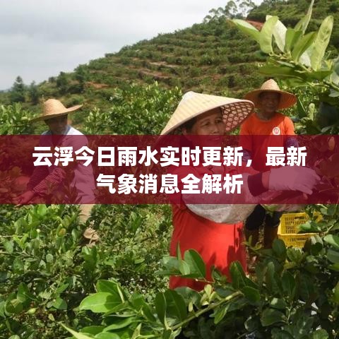 雅人深致