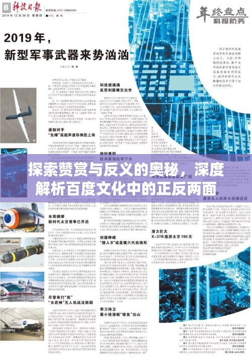 探索赞赏与反义的奥秘,深度解析百度文化中的正反两面
