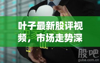 叶子最新股评视频，市场走势深度解析与策略建议