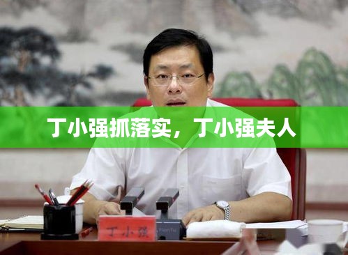 丁小强抓落实,丁小强夫人