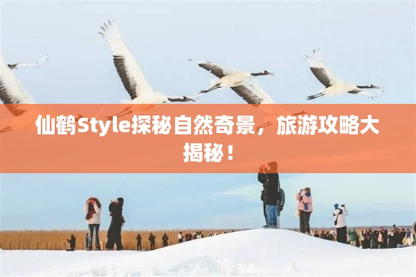 仙鹤Style探秘自然奇景，旅游攻略大揭秘！