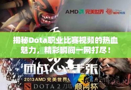 揭秘Dota职业比赛视频的热血魅力,精彩瞬间一网打尽!