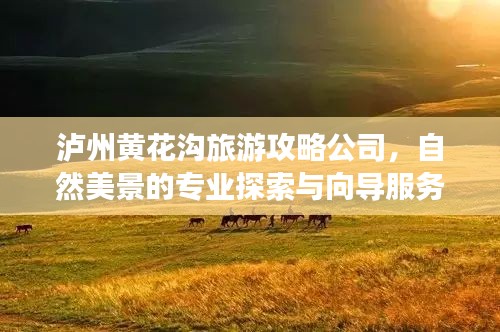 泸州黄花沟旅游攻略公司，自然美景的专业探索与向导服务