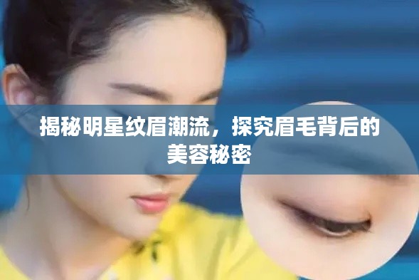 揭秘明星纹眉潮流,探究眉毛背后的美容秘密