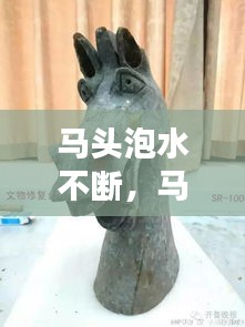 马头泡水不断,马头的保存方法