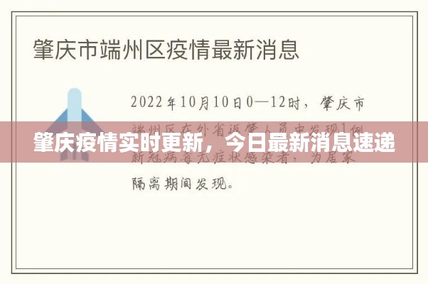 肇庆疫情实时更新,今日最新消息速递