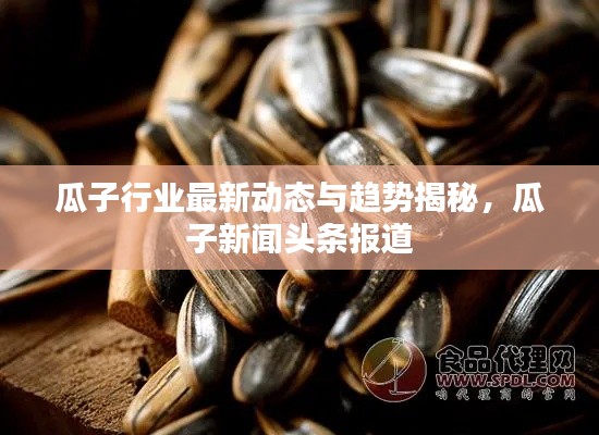 瓜子行业最新动态与趋势揭秘，瓜子新闻头条报道