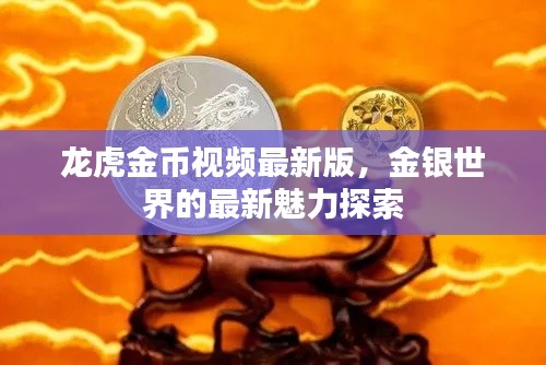 龙虎金币视频最新版，金银世界的最新魅力探索