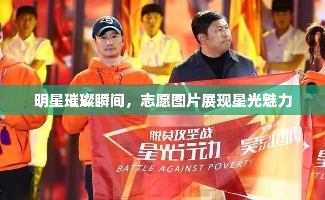 明星璀璨瞬间，志愿图片展现星光魅力