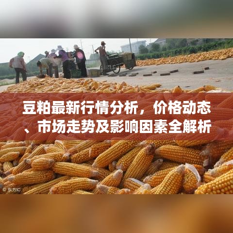 焚膏继晷