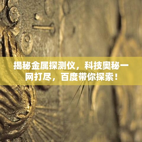 飞扬跋扈