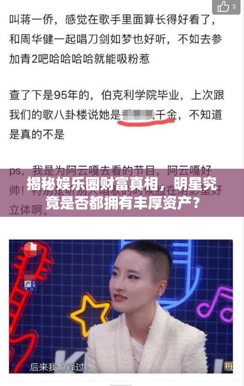 揭秘娱乐圈财富真相,明星究竟是否都拥有丰厚资产?